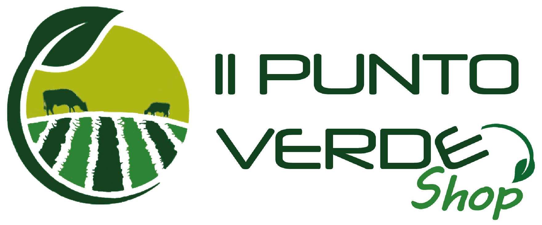 IL PUNTO VERDE SRL